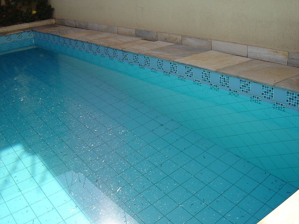 Bally Bagayoko - LFI -Saint-Denis - Pierrefitte - Ville - Noyade - Photo Public domain - Julio Nather