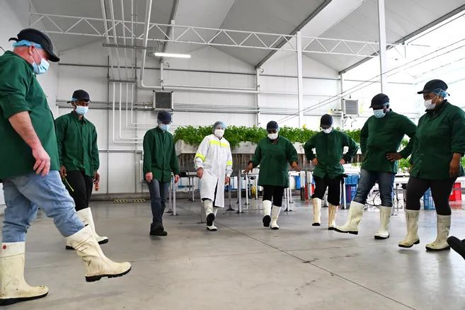 Bally Bagayoko - Saint Denis - Pierrefitte - Activités sportives municipalesa