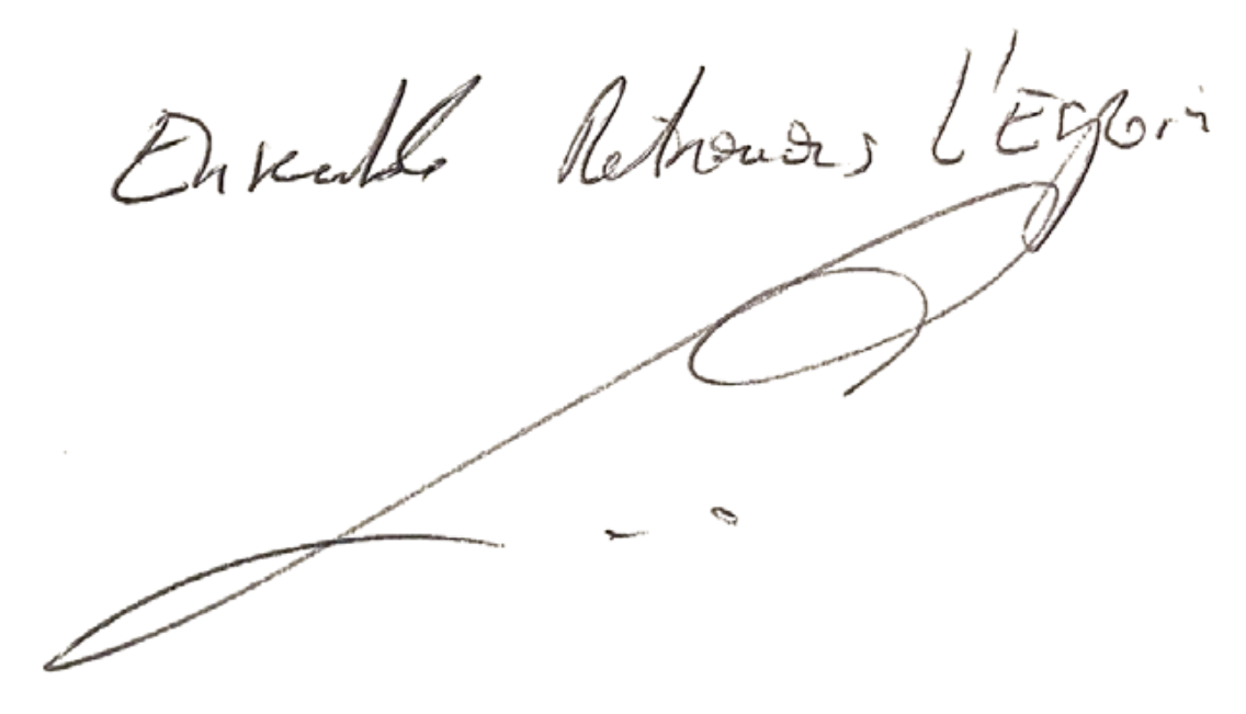 Bally Bagayoko - LFI - Saint Denis - Pierrefitte - Ensemble retrouvons l'espoir